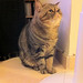 Chun Chu Photo 38