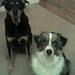 Erin Applegate Photo 30