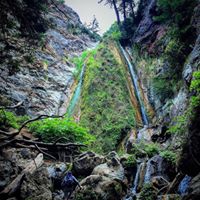 Steven Lowenthal Photo 4