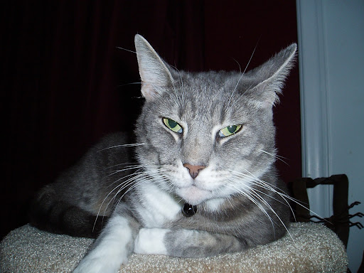 Paul O'Malley Photo 8
