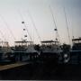Troy Major Photo 16