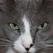 Kitty Jones Photo 40