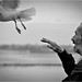 Maurice Malo Photo 11