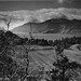 Steve Dotson Photo 34