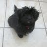 Zoraida Reyes Photo 12