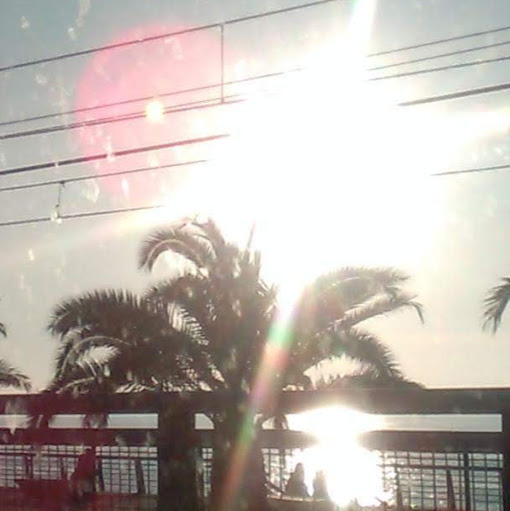 Haydee Bernal Photo 1