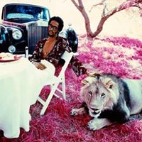 Shaune Johnson Photo 2