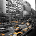 Nancy Zhong Photo 18