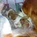 Jessica Born Photo 32