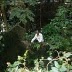 Paul Wigley Photo 10