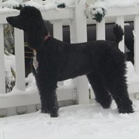 Sandy Kinsey Photo 7