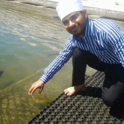 Rajesh Sachdeva Photo 15