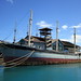 William Matson Photo 37