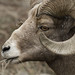 Larry Gallatin Photo 17