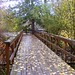 Roderick Brown Photo 42
