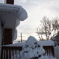 Mark Maniscalco Photo 1