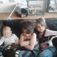 Vicki Boyles Photo 5