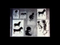 Bill Traylor Photo 23