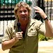 Steve Irwin Photo 46