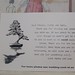 Lee Beauchamp Photo 23