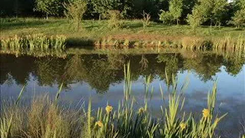 Floyd Meadows Photo 12