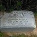 Shirley Rubin Photo 22