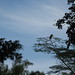 Karen Stork Photo 31