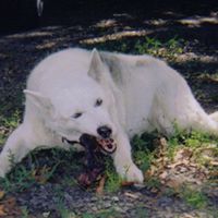 Thomas Bittner Photo 2