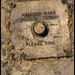 Ward Bell Photo 31