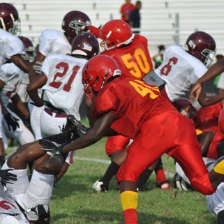 Daryl Sharpe Photo 8