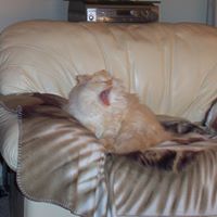 Gail Grayson Photo 3