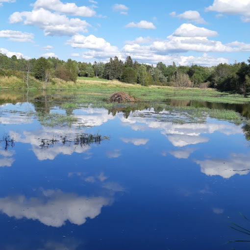 Judy Mackinnon Photo 8