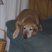 Janet Keyser Photo 1