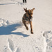 Cyrus Wilson Photo 23