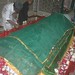 Amir Haq Photo 29