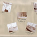 Robert Ingels Photo 11