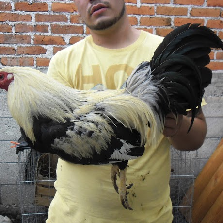 Raul Ruvalcaba Photo 10