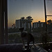 Jack Crow Photo 40