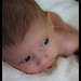 Sue Parker Photo 47