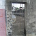 Ching Tang Photo 29