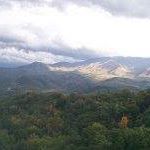 Kim Elam Photo 6