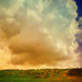 Bryan Rains Photo 24
