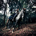 Luz Garrido Photo 22