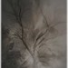 Lance Henson Photo 22