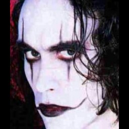 Robert Roper Photo 16