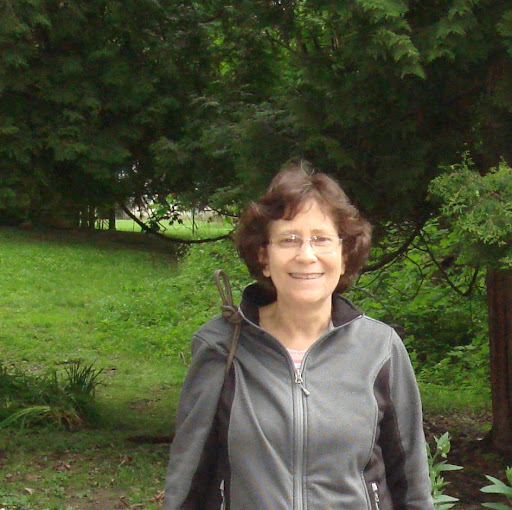 Susan Bernstein Photo 15