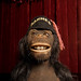Lenore Fox Photo 23