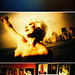 Agnes Hong Photo 21