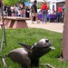 Mike Combs Photo 50