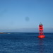 David Buoy Photo 21